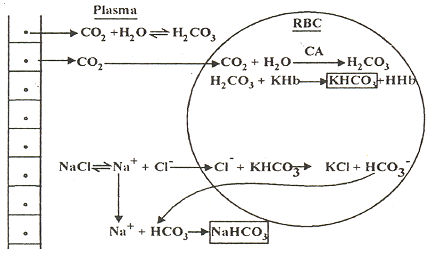 998_transportation of carbon dioxide.png